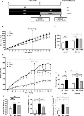 Hypercaloric low-carbohydrate high-fat diet protects against the development of nonalcoholic fatty liver disease in obese mice in contrast to isocaloric Western diet